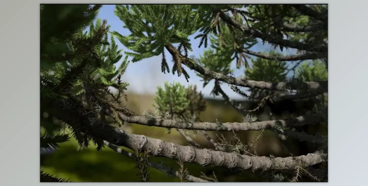 Download SpeedTree 9.3.0 Cinema Edition (WIN)