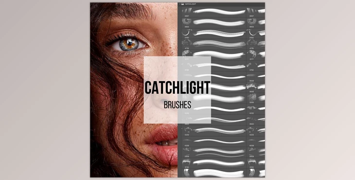 Download Tamara Williams – Catchlight Brushes