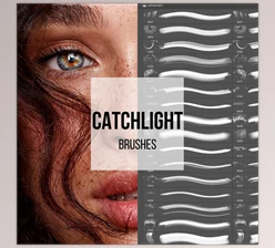 Download Tamara Williams – Catchlight Brushes