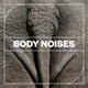 Download Blastwave FX Body Noises