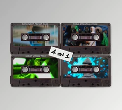 Download Payhip RAIO – 4 IN 1 Preset Pack v2