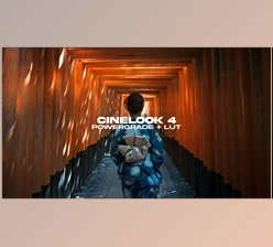 Download Nomadic George – CineLook 4 DaVinci Resolve PowerGrade + LUT (2023)