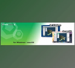 Download Tetraface Inc Metasequoia v4.9.1 (Win)