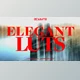 Download AcidBite – Elegant Luts (2022)