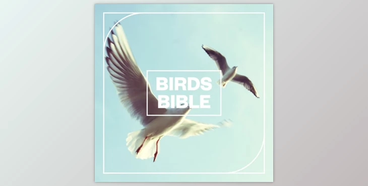 Download Blastwave FX Birds Bible