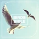 Download Blastwave FX Birds Bible