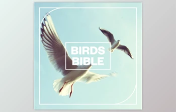 Download Blastwave <span class='badge badge-warning'>FX</span> Birds Bible