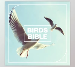 Download Blastwave FX Birds Bible