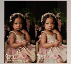 Download Baby Breath Lightroom Presets By Jessica G. Photography