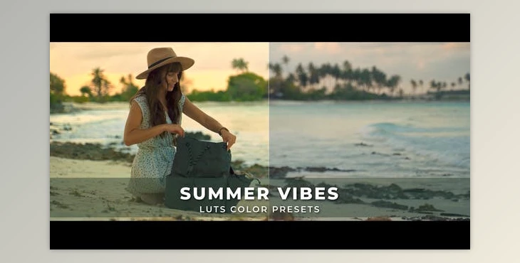 Download Summer Vibes Luts (Videohive 43236091)