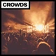 Download Big Room Sound Crowds