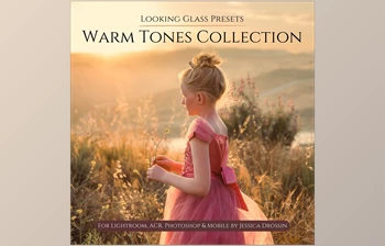 Download JessicaDrossin Looking Glass <span class='badge badge-warning'>Presets</span>: Warm <span class='badge badge-warning'>Tones</span> Collection