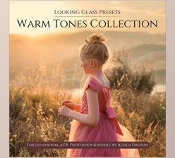 Download JessicaDrossin Looking Glass Presets: Warm Tones Collection