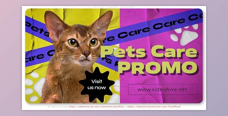 Download Pets Care Promo (Videohive 45024534) - AE Project