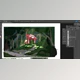 Download 2D Backgrounds: Create Stunning Scenes for Your Animations