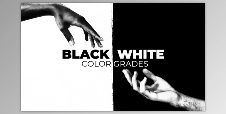 Download MotionArray Black And White Color Grades