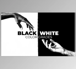 Download MotionArray Black And White Color Grades
