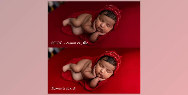 Download Jessica G. Moonstruck Lightroom Presets