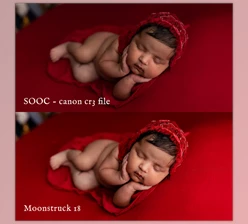 Download Jessica G. Moonstruck Lightroom Presets