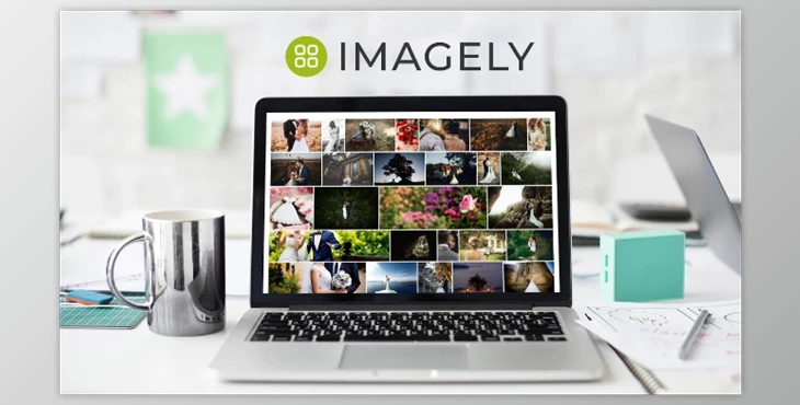 Download Imagely (v2.3) + Nextgen pro (3.17) + Lightroom Plugin (1.0.22)