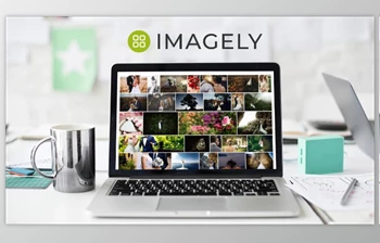 Download Imagely (v2.3) + Nextgen <span class='badge badge-warning'>pro</span> (3.17) + <span class='badge badge-warning'>Lightroom</span> <span class='badge badge-warning'>Plugin</span> (1.0.22)
