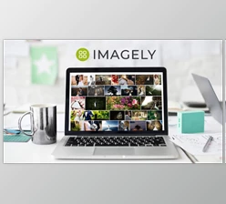 Download Imagely (v2.3) + Nextgen pro (3.17) + Lightroom Plugin (1.0.22)