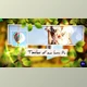 Download Timeline Of Our Lives: Pr (Videohive 45228412)