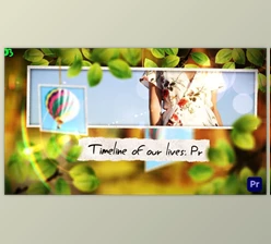 Download Timeline Of Our Lives: Pr (Videohive 45228412)