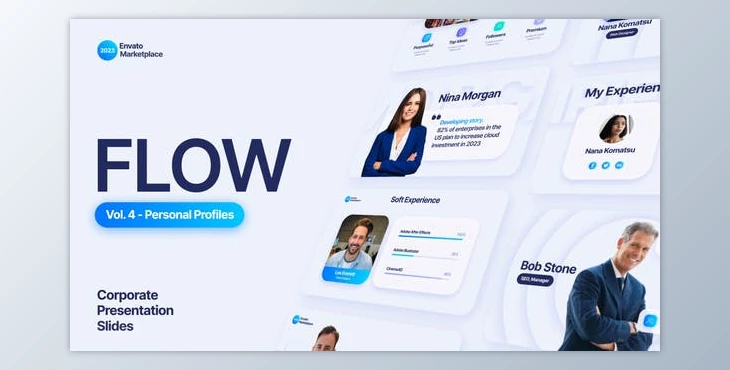 Download Flow – Personal Profiles Scenes Pack (Videohive 45291941) - AE Project